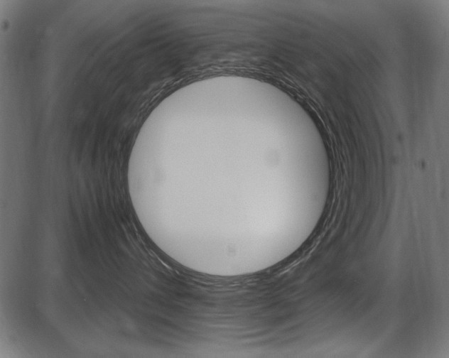 X0000087540432200704270928