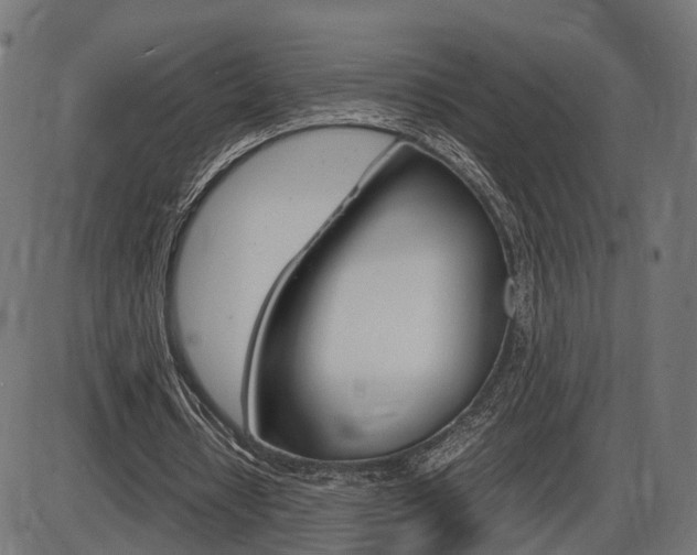 X0000087540434200704270927