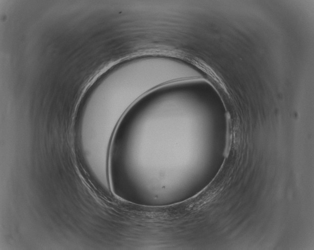 X0000087540436200704270927