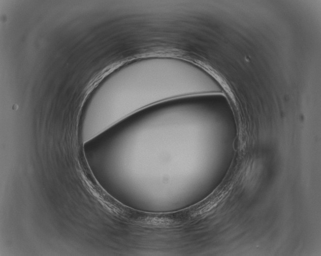 X0000087540437200704270928