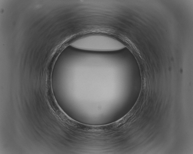 X0000087540444200704270928