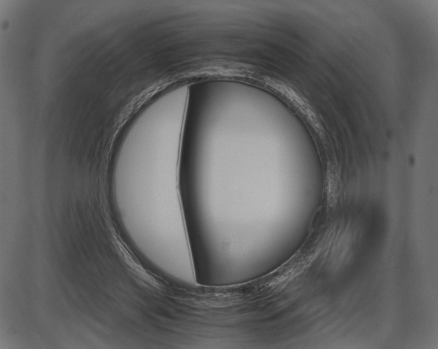 X0000087540445200704270928