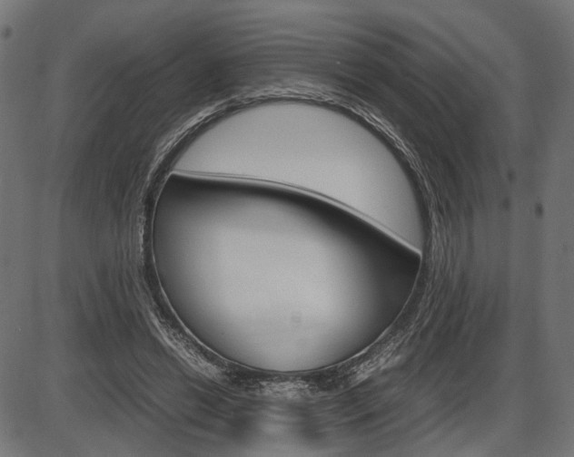X0000087540446200704270928