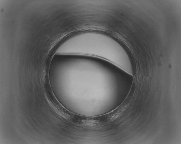 X0000087540448200704270928