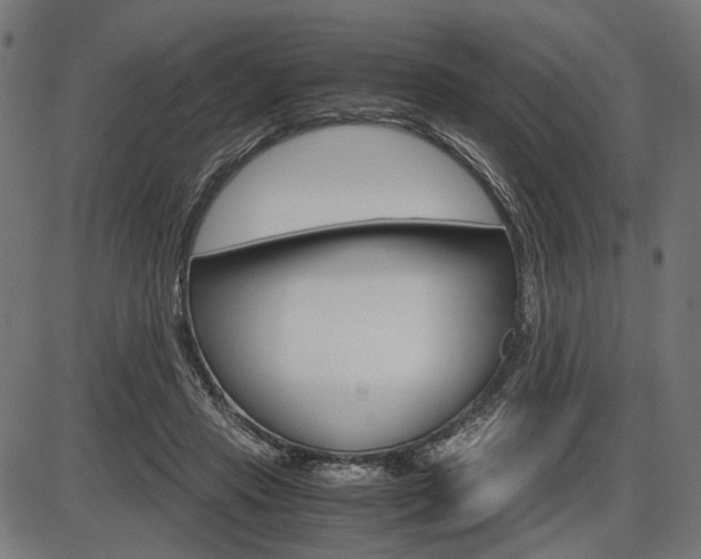 X0000087540453200704270928