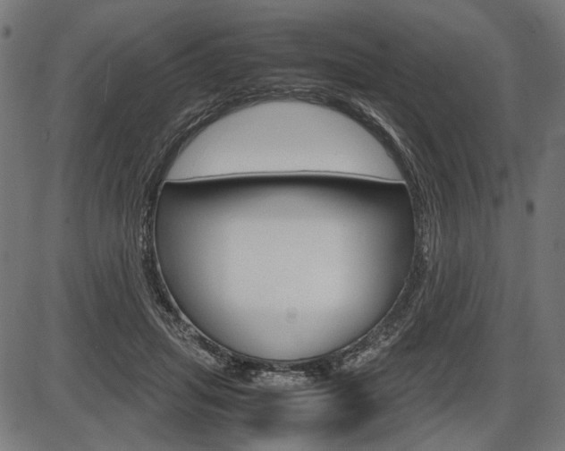 X0000087540455200704270928