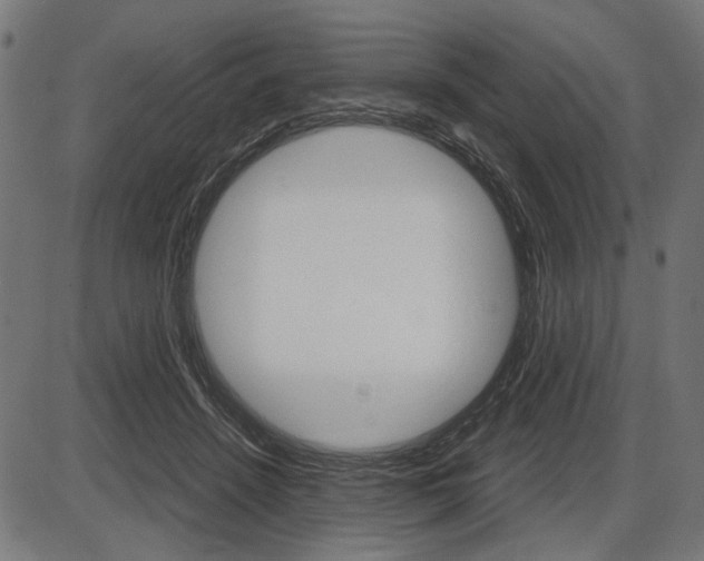 X0000087540456200704270928