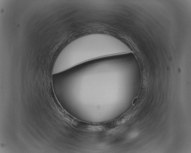 X0000087540457200704270928