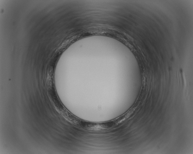 X0000087540460200704270928
