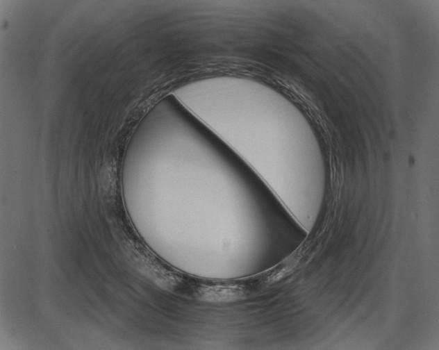 X0000087540461200704270928
