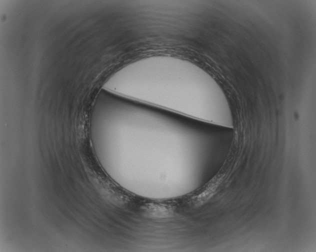 X0000087540464200704270928