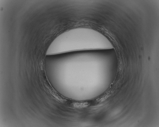 X0000087540465200704270928