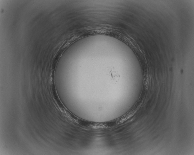 X0000087540466200704270928