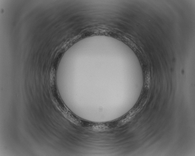 X0000087540468200704270928