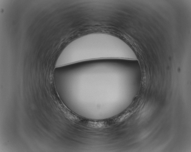 X0000087540469200704270928