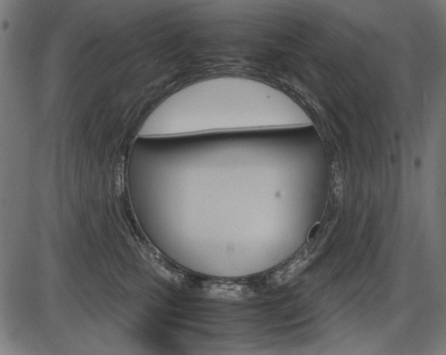 X0000087540471200704270928