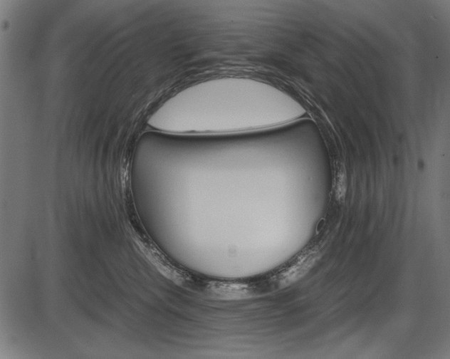 X0000087540476200704270928