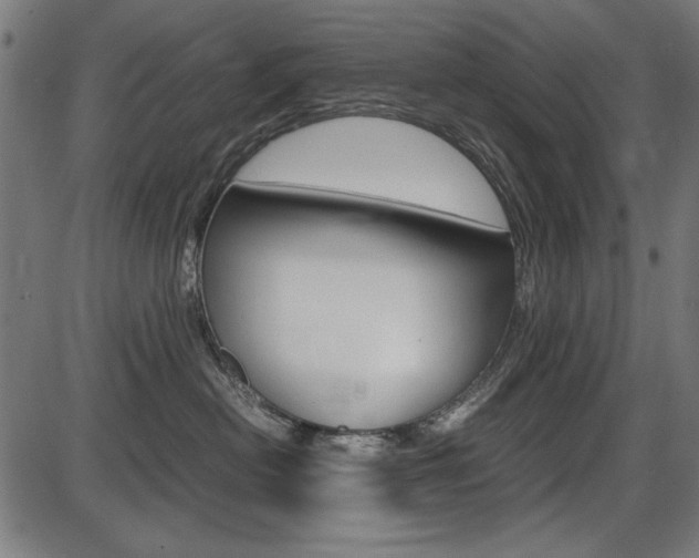 X0000087540478200704270928