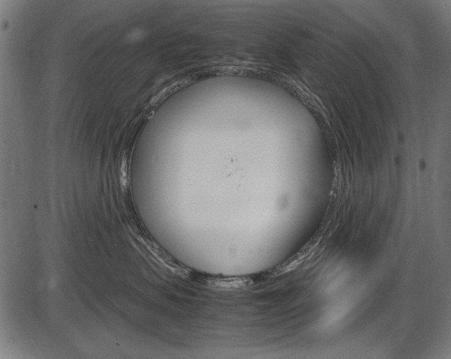 X0000087540479200704270928