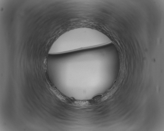X0000087540480200704270928