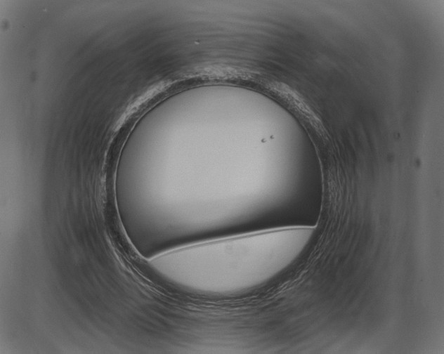 X0000087540488200704270927