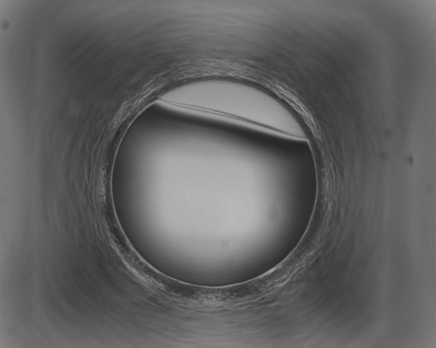 X0000087540489200704270927