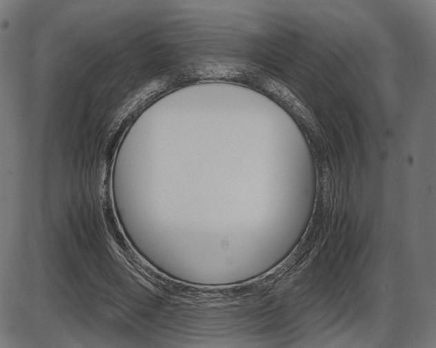 X0000087540490200704270927
