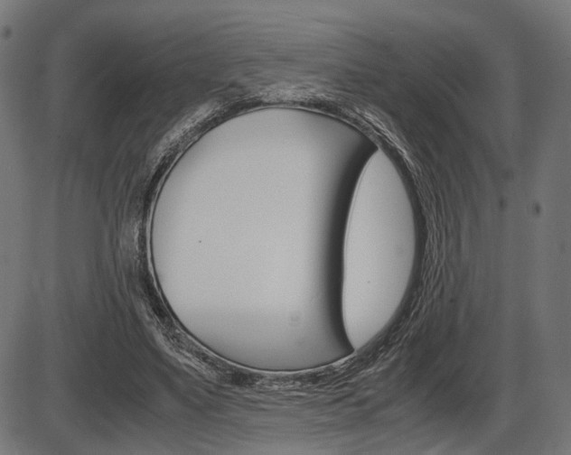 X0000087540491200704270927