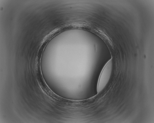 X0000087540492200704270927