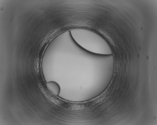 X0000087540494200704270927