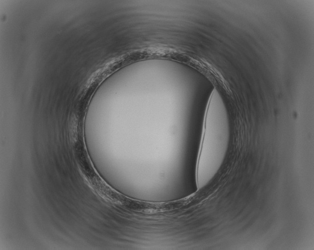 X0000087540496200704270927