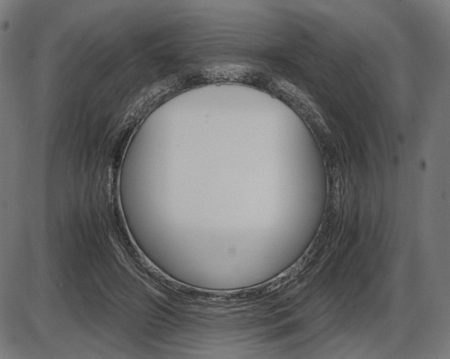 X0000087540498200704270927