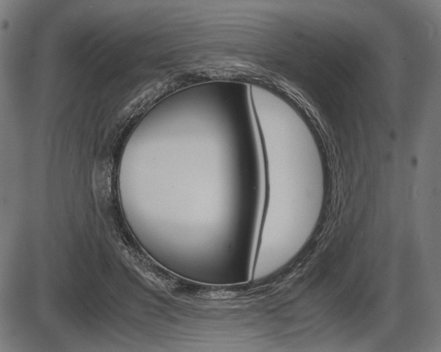 X0000087540501200704270927
