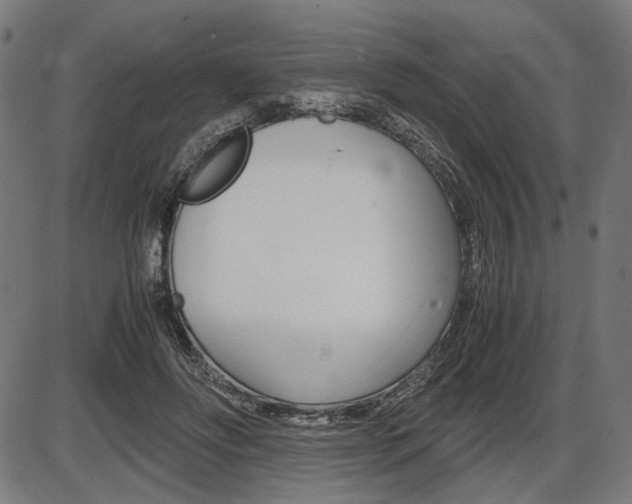 X0000087540502200704270927