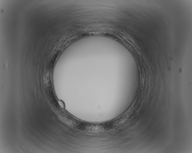 X0000087540503200704270927