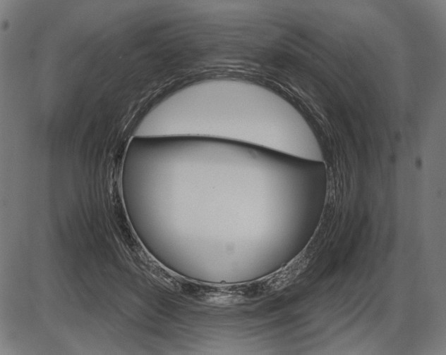 X0000087540504200704270927