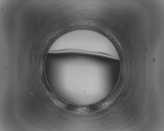 X0000087540505200704270927