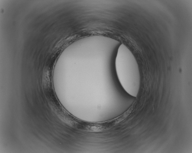 X0000087540506200704270927