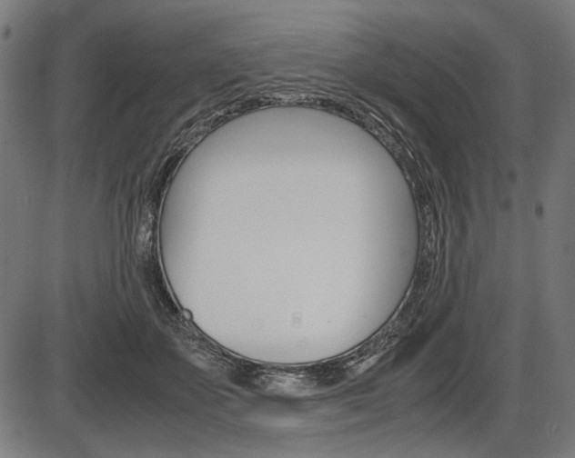 X0000087540507200704270927