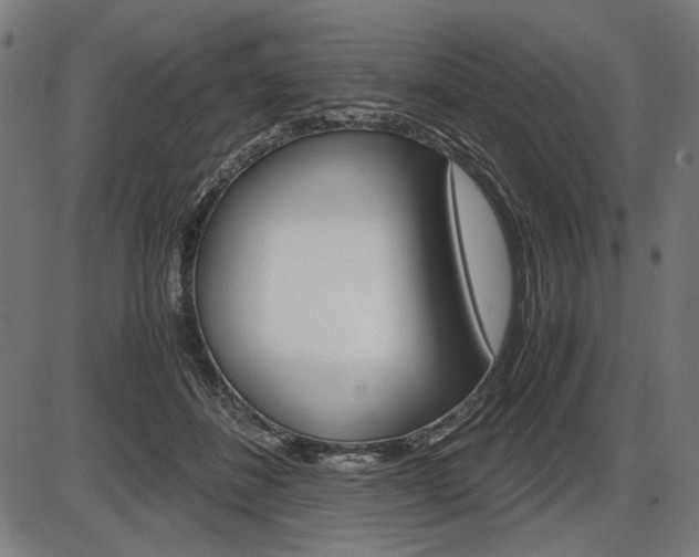 X0000087540508200704270927