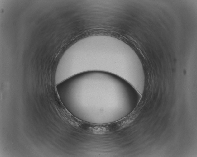 X0000087540512200704270927