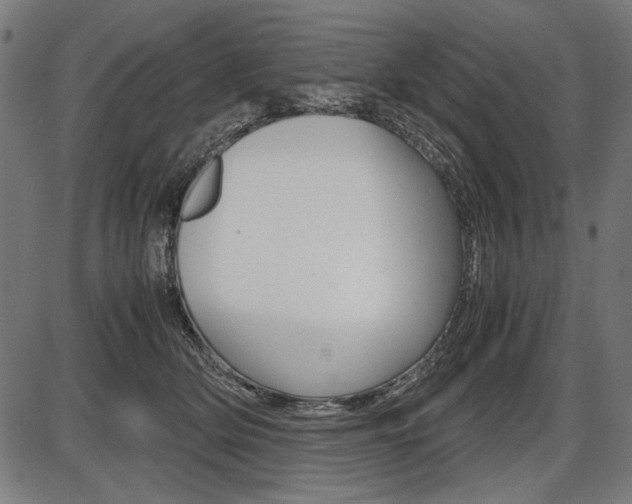X0000087540514200704270927