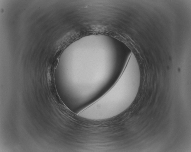 X0000087540516200704270927