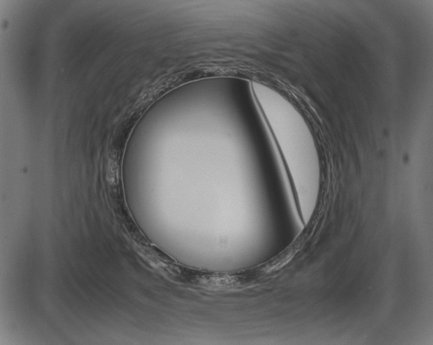 X0000087540517200704270927