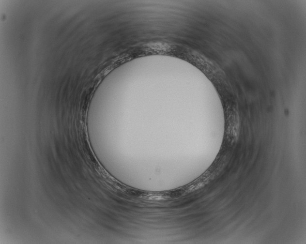 X0000087540518200704270927