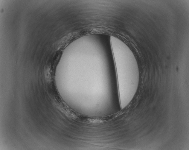 X0000087540520200704270927