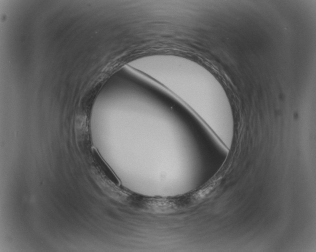 X0000087540521200704270927