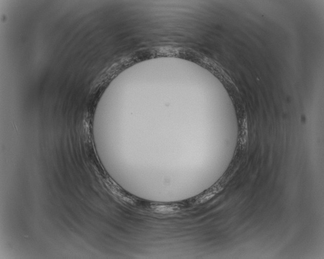 X0000087540522200704270927