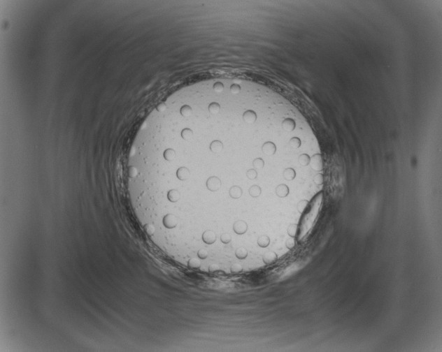 X0000087540523200704270927