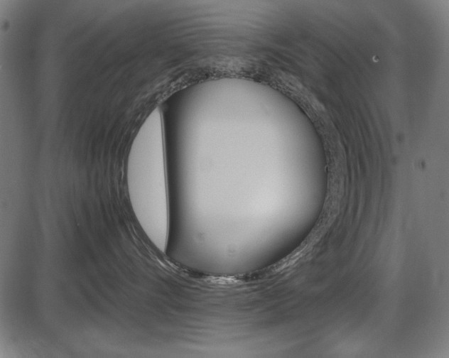 X0000087540528200704270927